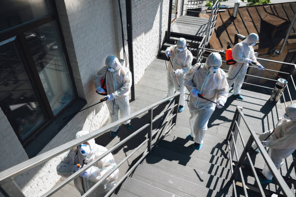 Mold Odor Removal Services in Oglala, SD