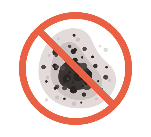 Best Mold-Related Health Consultation  in Oglala, SD