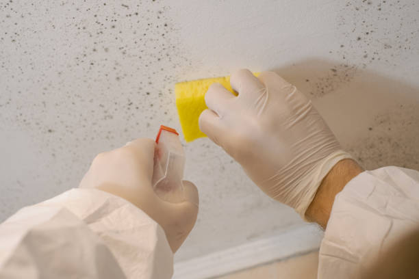 Best Mold Remediation for Healthcare Facilities  in Oglala, SD