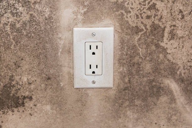 Trusted Oglala, SD Mold Removal Experts