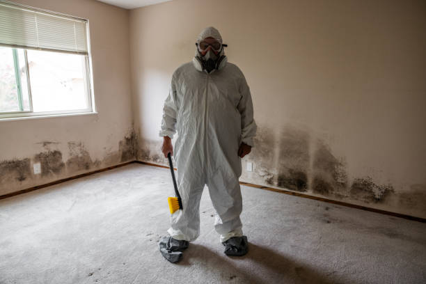 Best Crawl Space Mold Remediation  in Oglala, SD