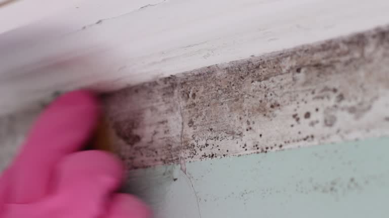 Best Comprehensive Air Testing for Mold Contaminants  in Oglala, SD